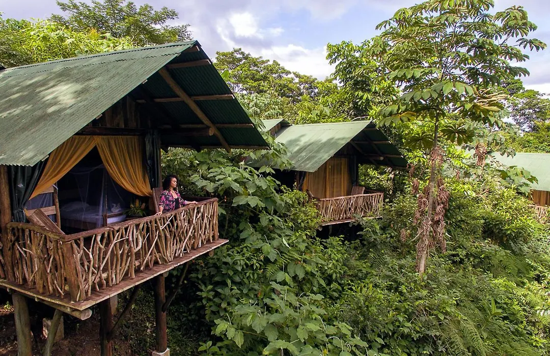 La Tigra Rainforest Lodge-1