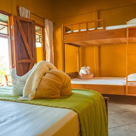 La Tigra Rainforest Lodge-2